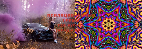 прущая мука Арсеньев